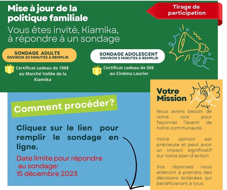 sondage site web