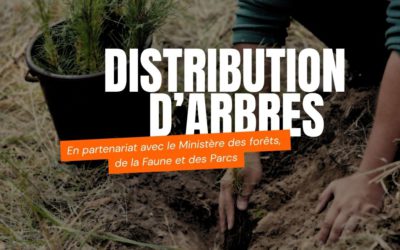 Distribution d&rsquo;arbres 15-16 mai