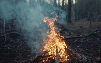 Demande de permis de brûlage