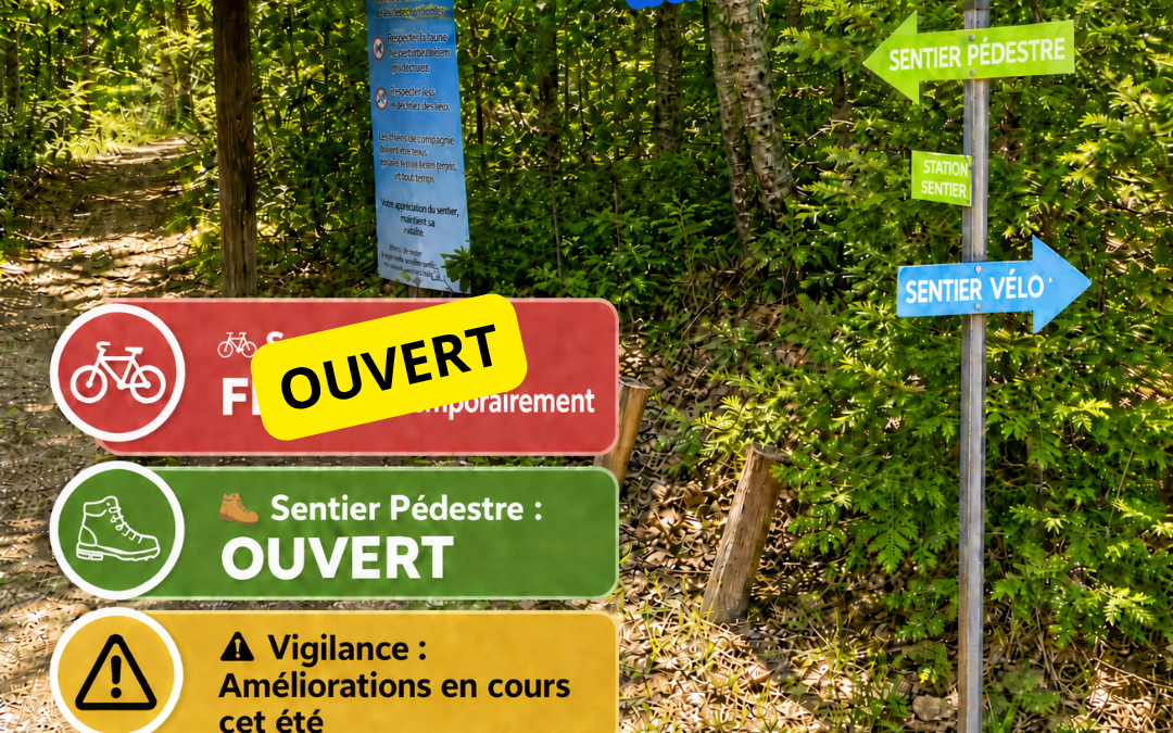 Sentier écologique du ruisseau du diable